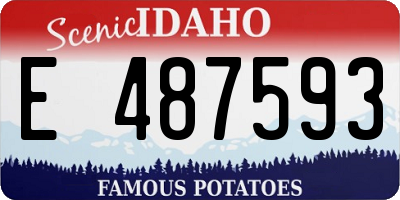 ID license plate E487593