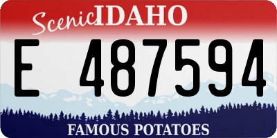 ID license plate E487594