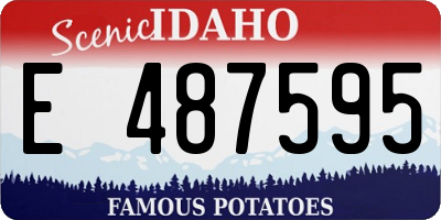 ID license plate E487595
