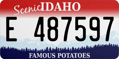 ID license plate E487597