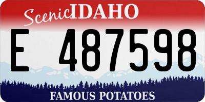 ID license plate E487598