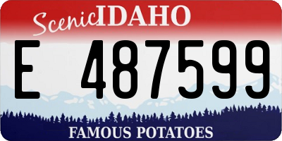 ID license plate E487599