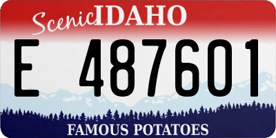 ID license plate E487601