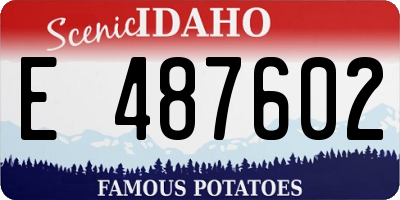 ID license plate E487602