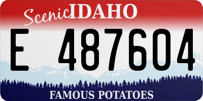 ID license plate E487604