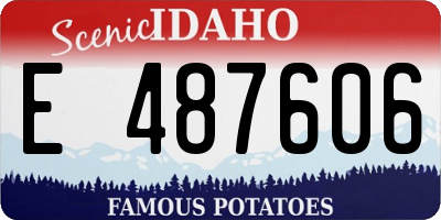 ID license plate E487606
