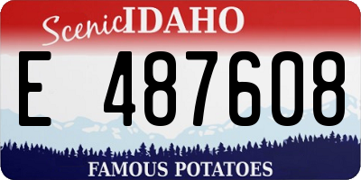 ID license plate E487608