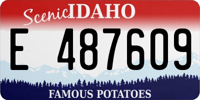 ID license plate E487609