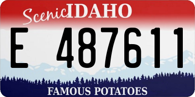 ID license plate E487611