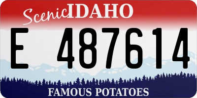 ID license plate E487614