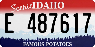 ID license plate E487617
