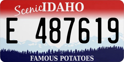 ID license plate E487619