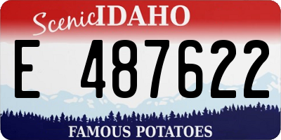 ID license plate E487622