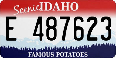 ID license plate E487623