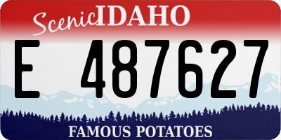 ID license plate E487627
