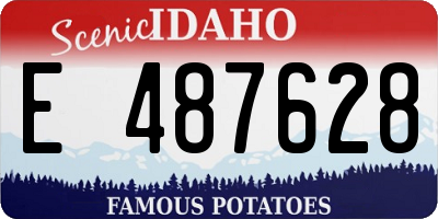 ID license plate E487628