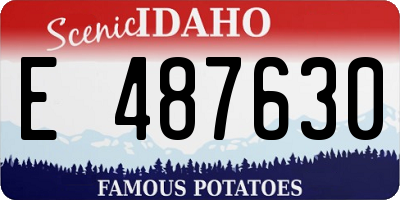 ID license plate E487630