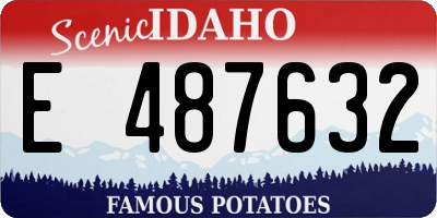 ID license plate E487632