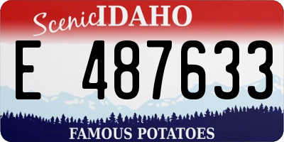 ID license plate E487633