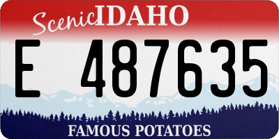 ID license plate E487635