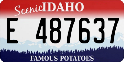 ID license plate E487637