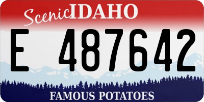ID license plate E487642