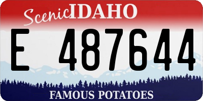 ID license plate E487644