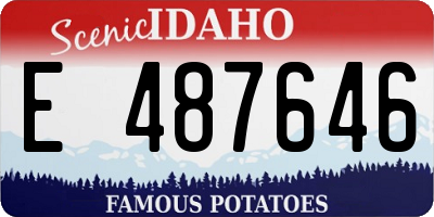 ID license plate E487646
