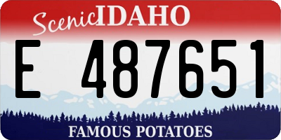 ID license plate E487651
