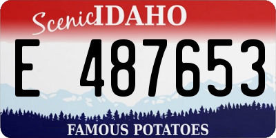 ID license plate E487653