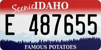 ID license plate E487655