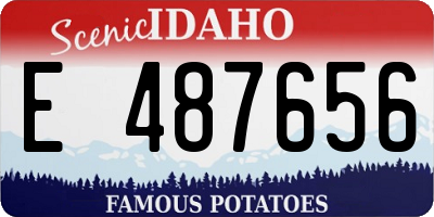 ID license plate E487656