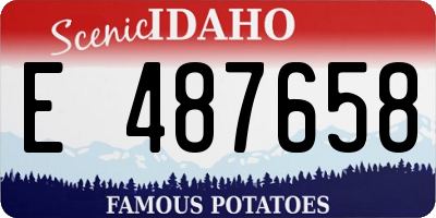 ID license plate E487658