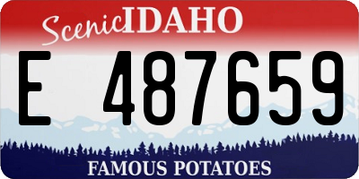 ID license plate E487659