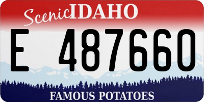 ID license plate E487660