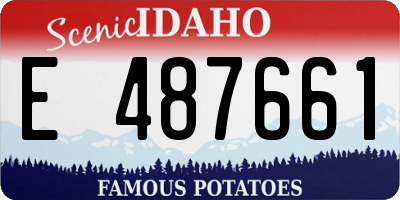 ID license plate E487661