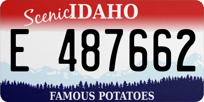 ID license plate E487662