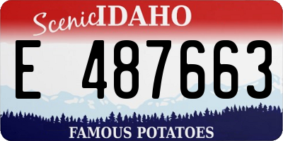 ID license plate E487663