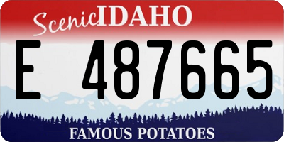 ID license plate E487665