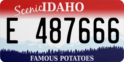 ID license plate E487666
