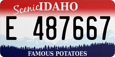 ID license plate E487667