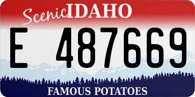 ID license plate E487669