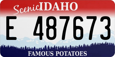 ID license plate E487673