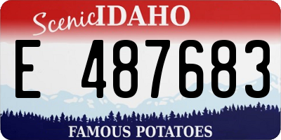 ID license plate E487683
