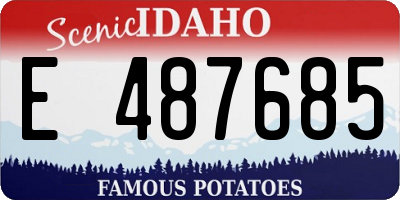 ID license plate E487685