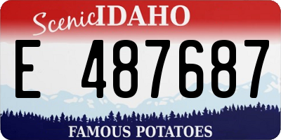 ID license plate E487687