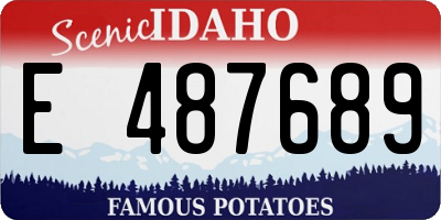 ID license plate E487689