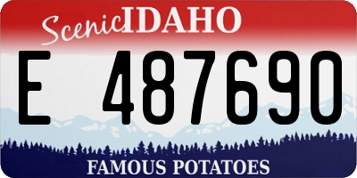 ID license plate E487690