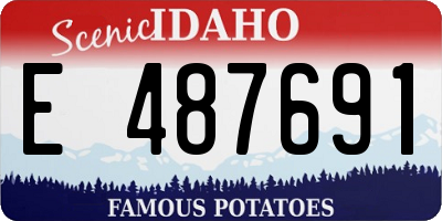 ID license plate E487691
