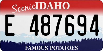 ID license plate E487694